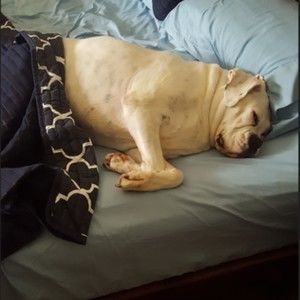 Meet your Posher, Deborah